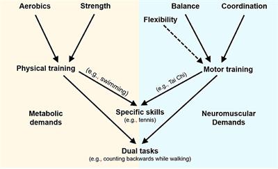 Is There a Preferred Mode of Exercise for Cognition Enhancement in Older Age?—A Narrative Review